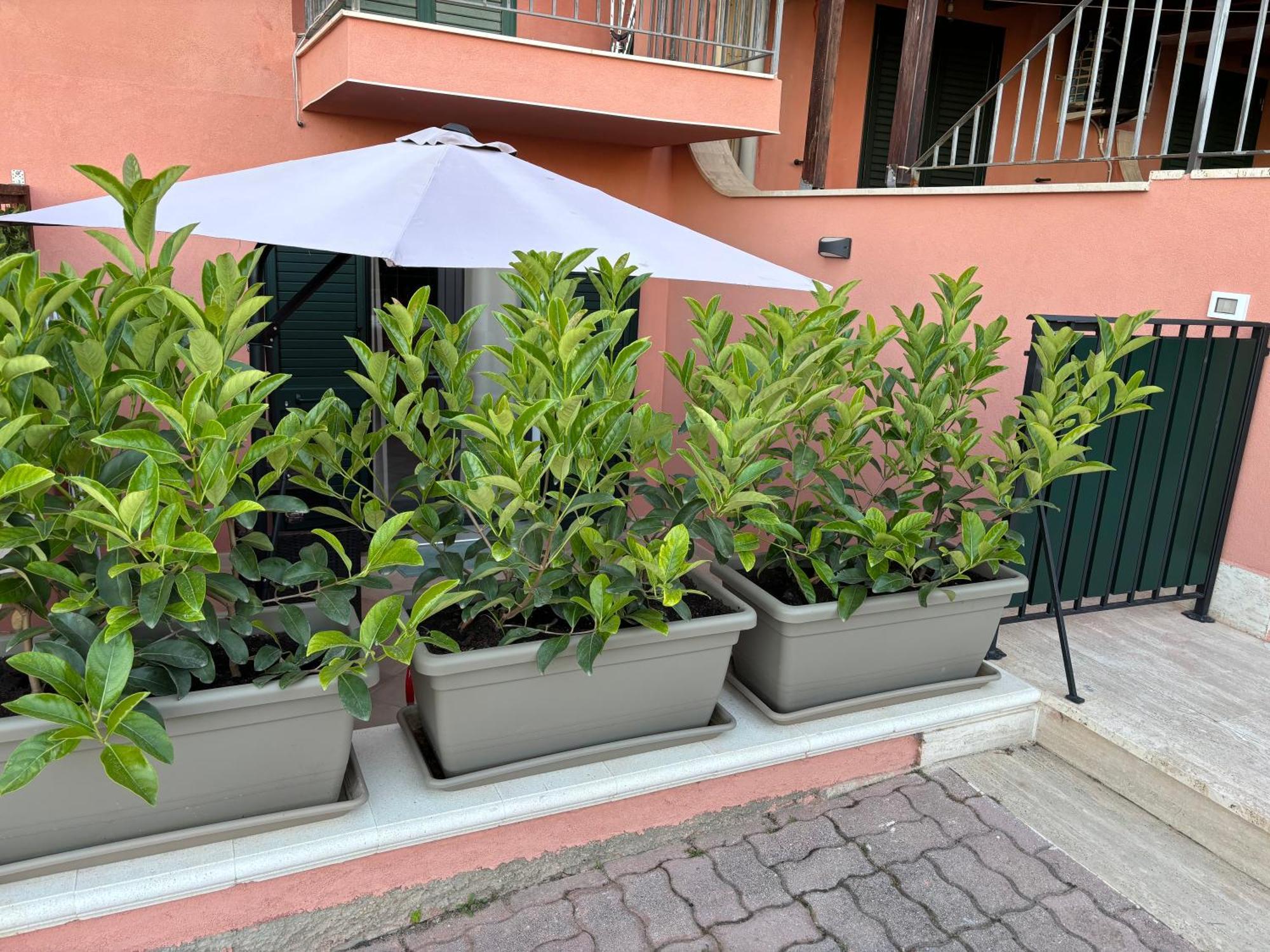 Casa Vacanza Scala Dei Turchi Realmonte Bagian luar foto